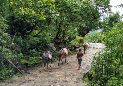 Hemkunt Sahib Darshan Yatra