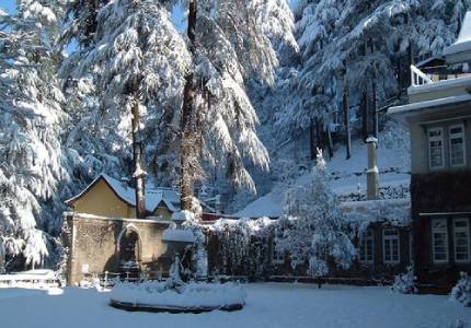 Chandigarh to Shimla & Manali Mountain Road Trip