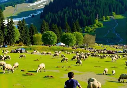 Kashmir Taxi
