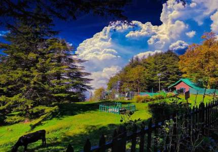 Amritsar–Dalhousie & Dharamshala 6 Days Trip