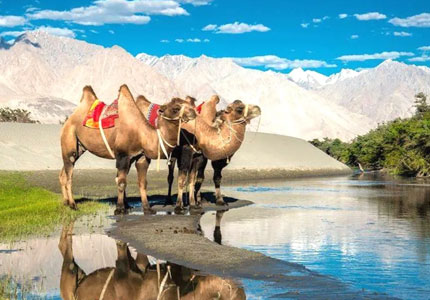 Amritsar to Leh Himalayan Drive covering Manali, Nubra & Pangong