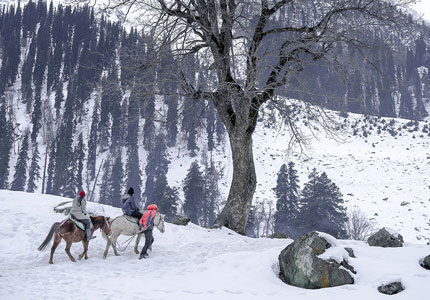 Kashmir Highlights Tour from Amritsar: Srinagar–Gulmarg–Pahalgam